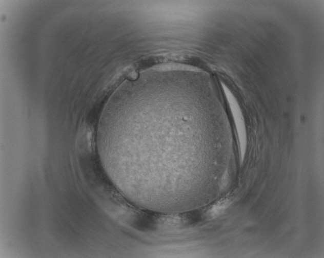 X0000062170123200512161301