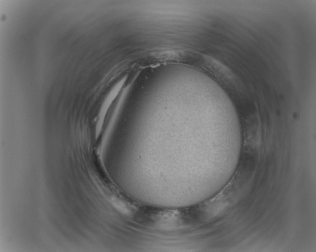 X0000062170124200512161301