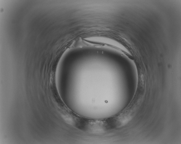 X0000062170125200512161301