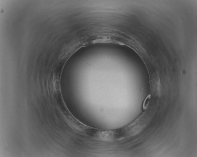 X0000062170126200512161301