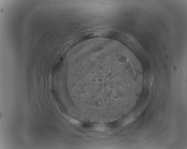 X0000062170127200512161301