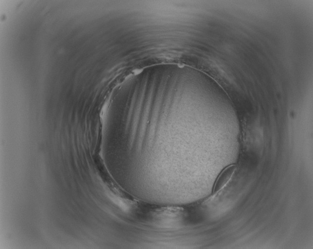 X0000062170128200512161301