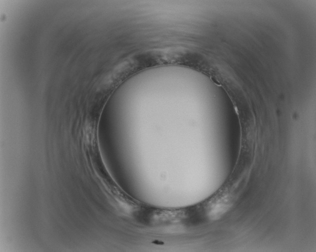 X0000062170129200512161301