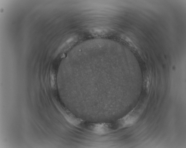 X0000062170130200512161301