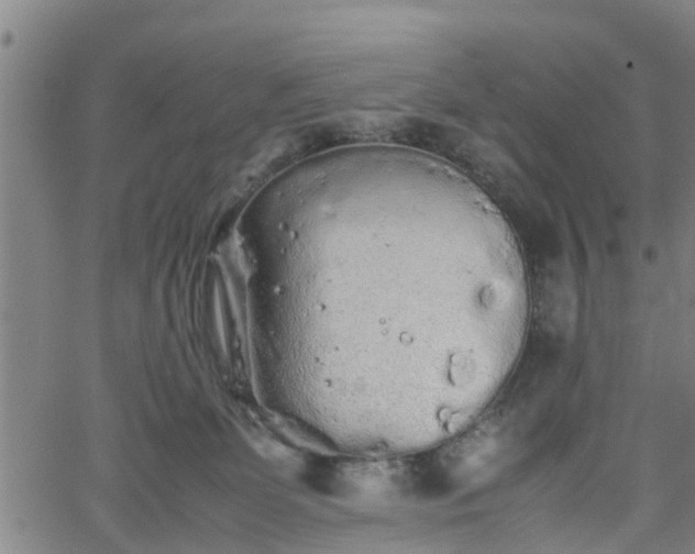 X0000062170131200512161301