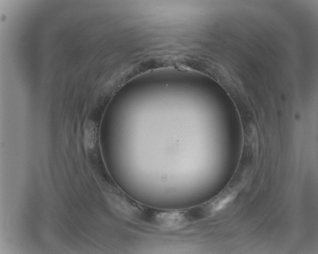 X0000062170133200512161301