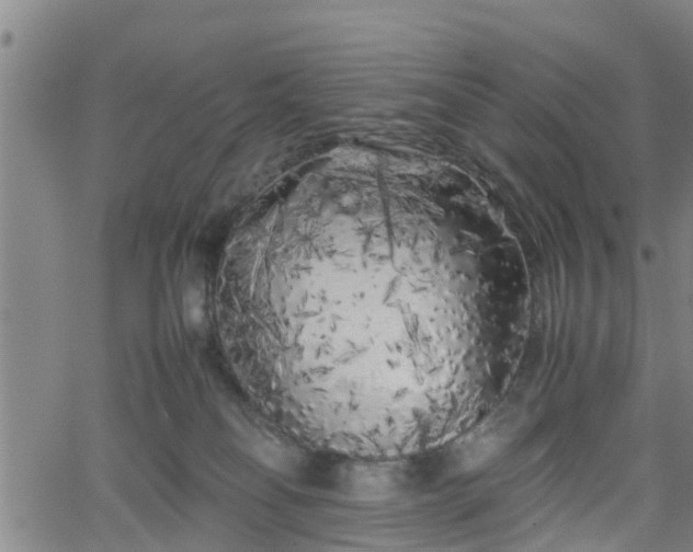 X0000062170134200512161301