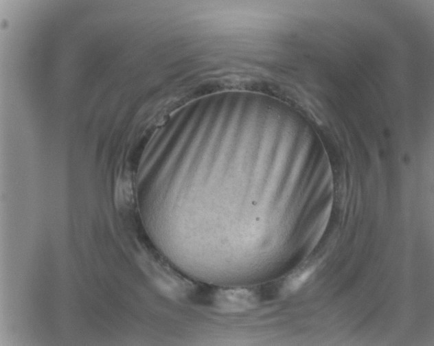 X0000062170137200512161300