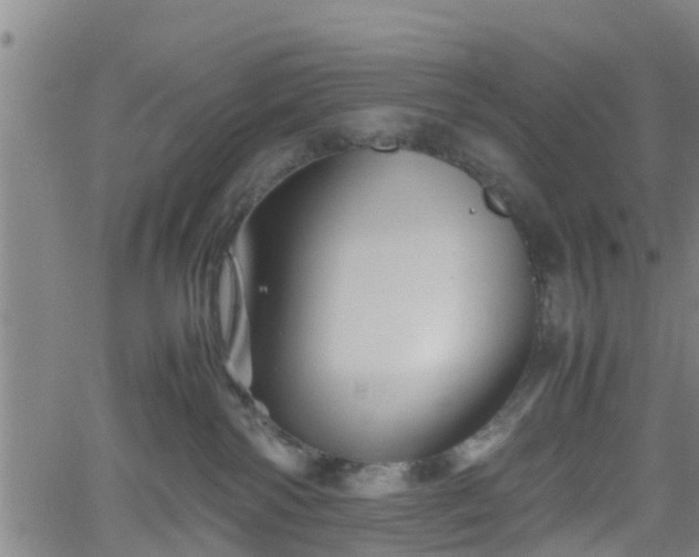 X0000062170138200512161300