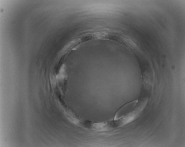 X0000062170139200512161300