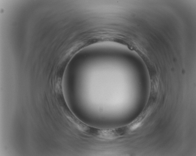 X0000062170141200512161300