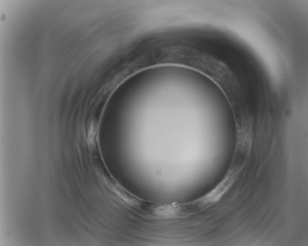 X0000062170142200512161300