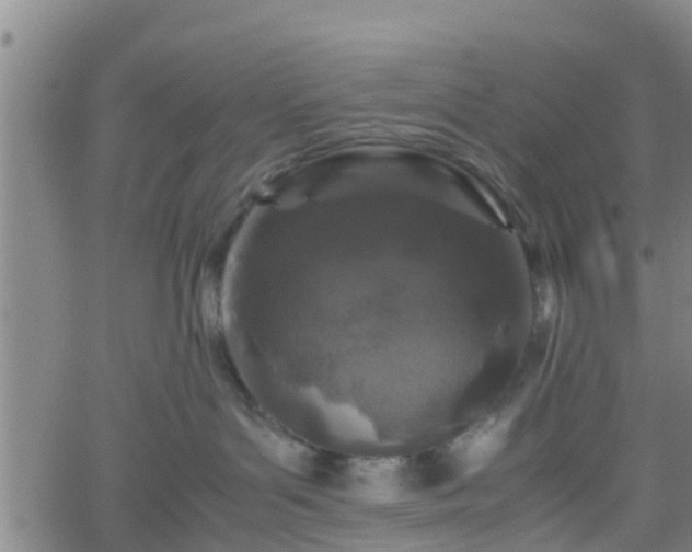 X0000062170143200512161300