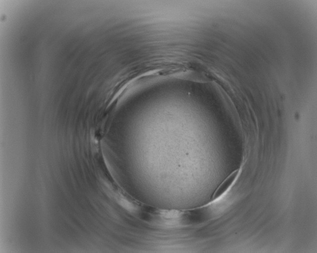 X0000062170144200512161300