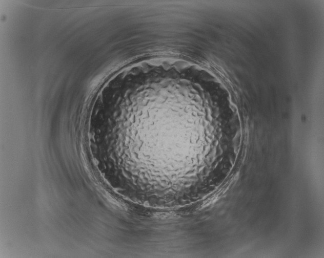 X0000062170145200512161300