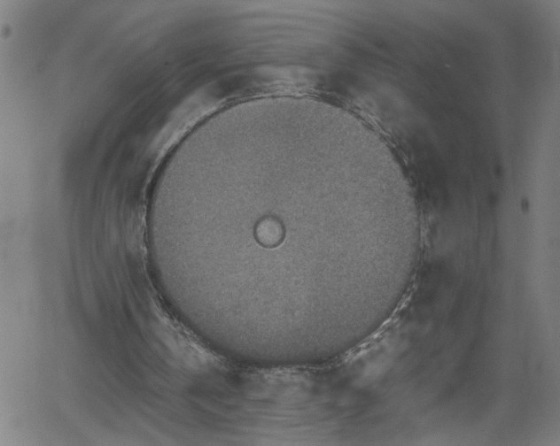 X0000062170146200512161300