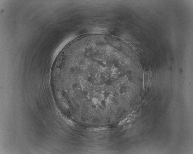 X0000062170147200512161300