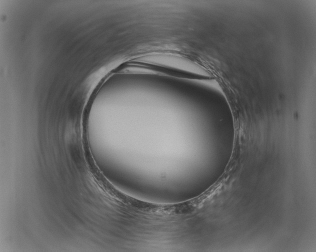 X0000062170148200512161300