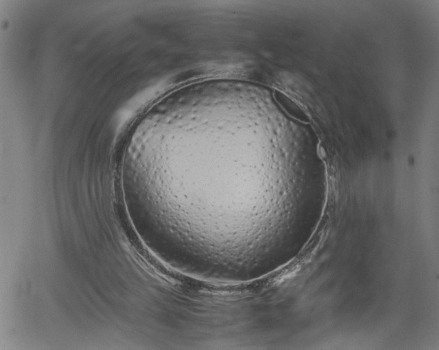 X0000062170149200512161300