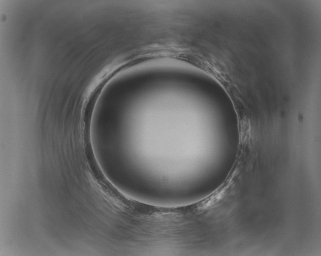 X0000062170150200512161300