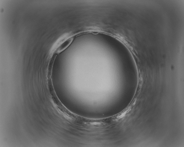 X0000062170151200512161300