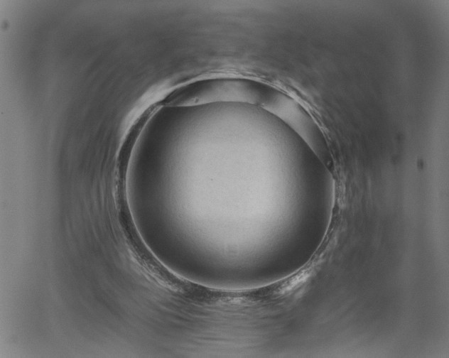 X0000062170152200512161300