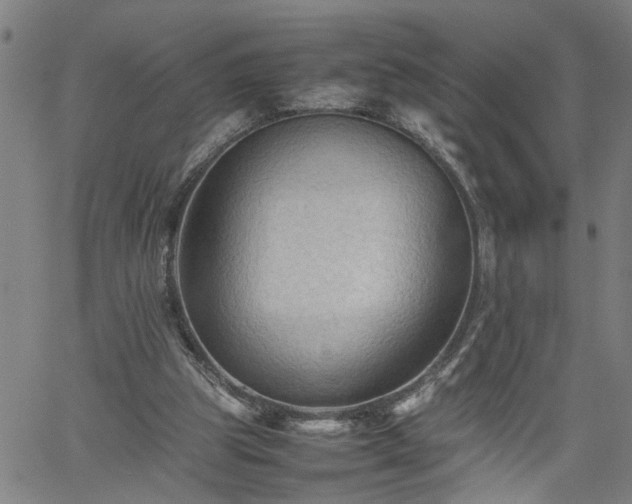 X0000062170153200512161300