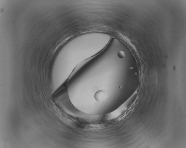 X0000062170154200512161300