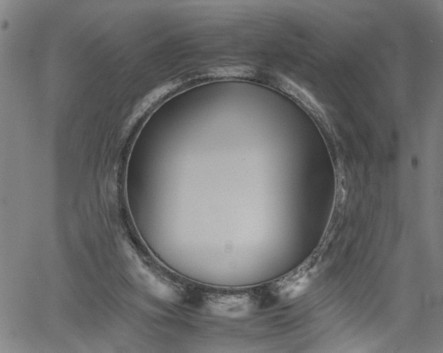 X0000062170155200512161300