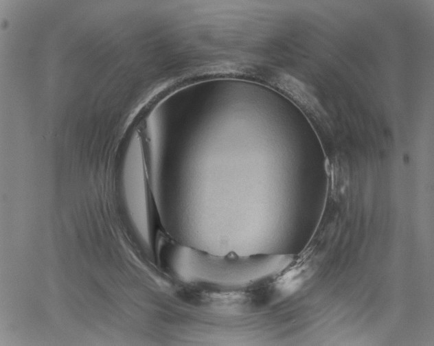 X0000062170156200512161300