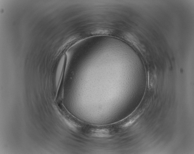 X0000062170157200512161300