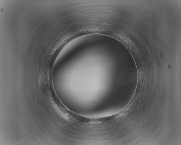 X0000062170158200512161300