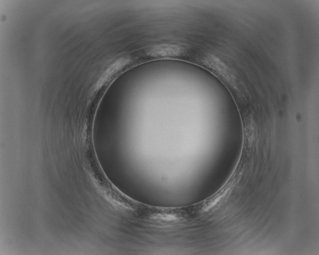 X0000062170159200512161300