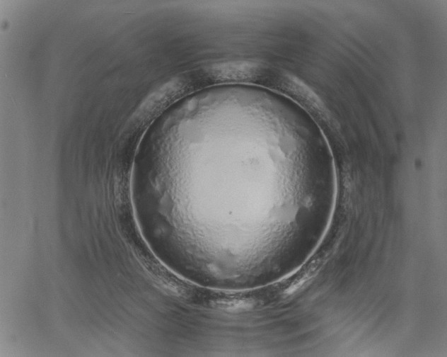 X0000062170161200512161300