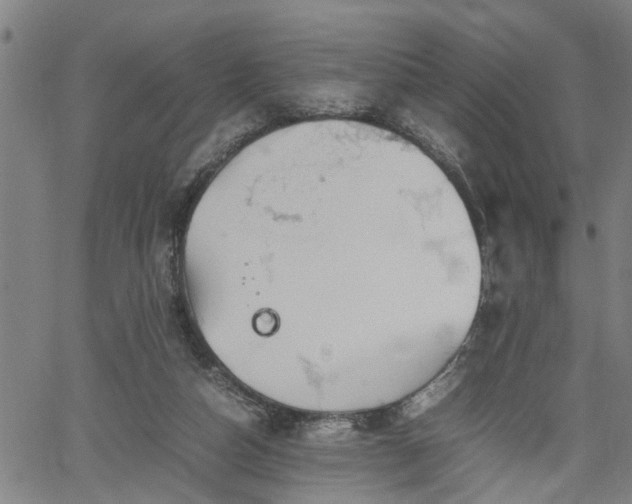 X0000062170162200512161300