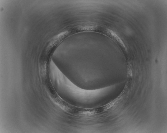 X0000062170163200512161300