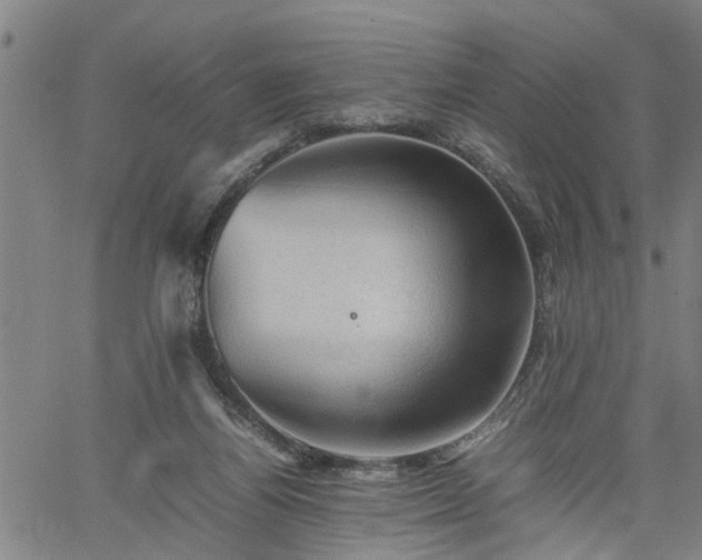 X0000062170164200512161300