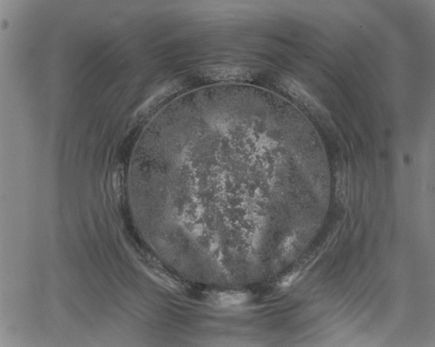 X0000062170165200512161300