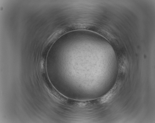 X0000062170166200512161300