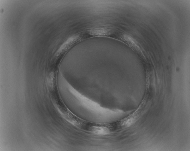 X0000062170167200512161300