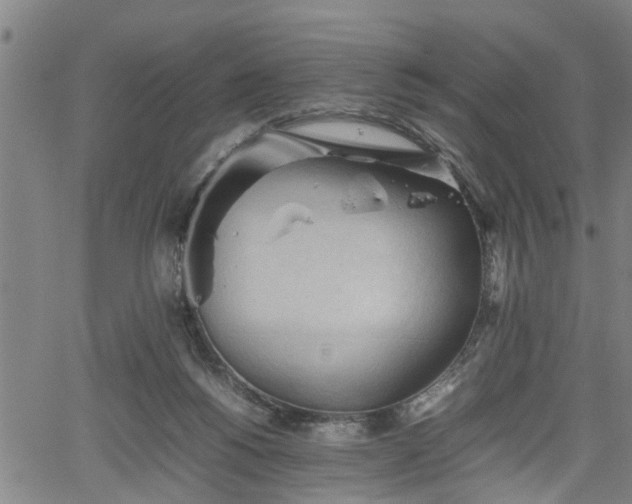 X0000062170168200512161300