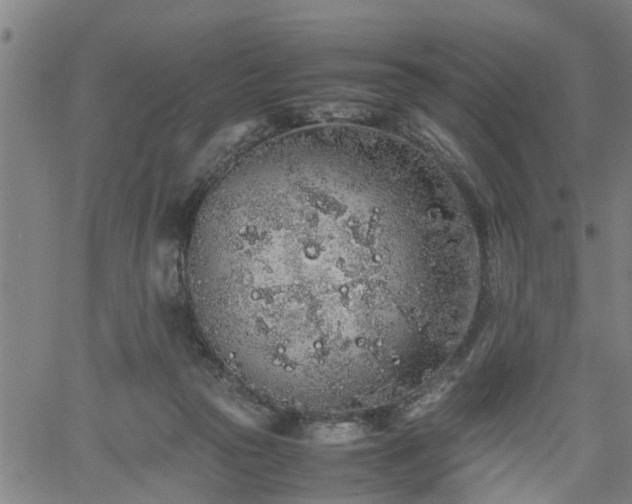 X0000062170169200512161300