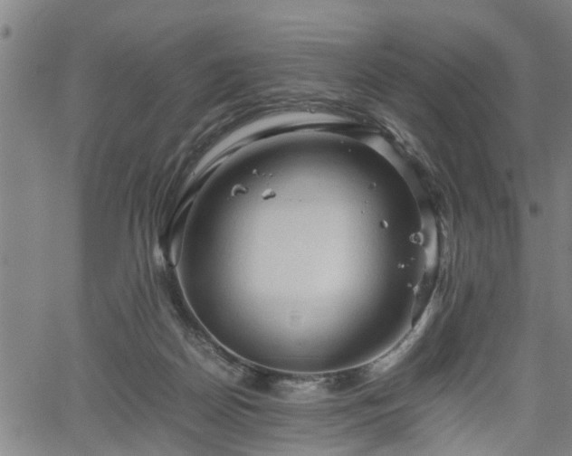 X0000062170170200512161300