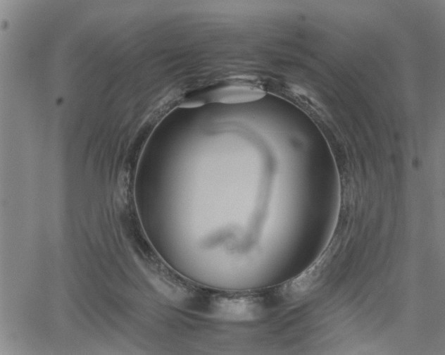 X0000062170171200512161300