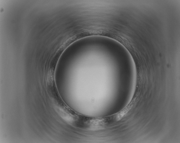 X0000062170172200512161300