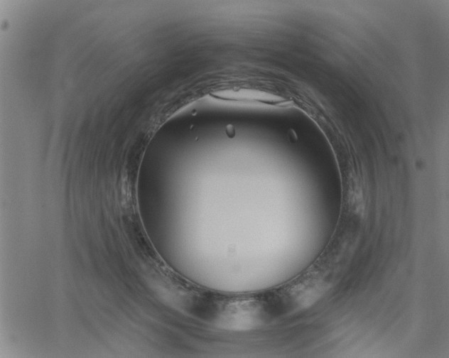 X0000062170173200512161300