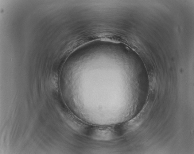 X0000062170175200512161300