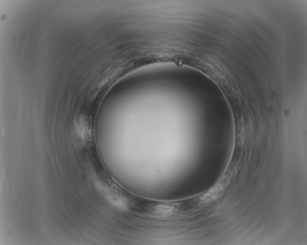 X0000062170176200512161300