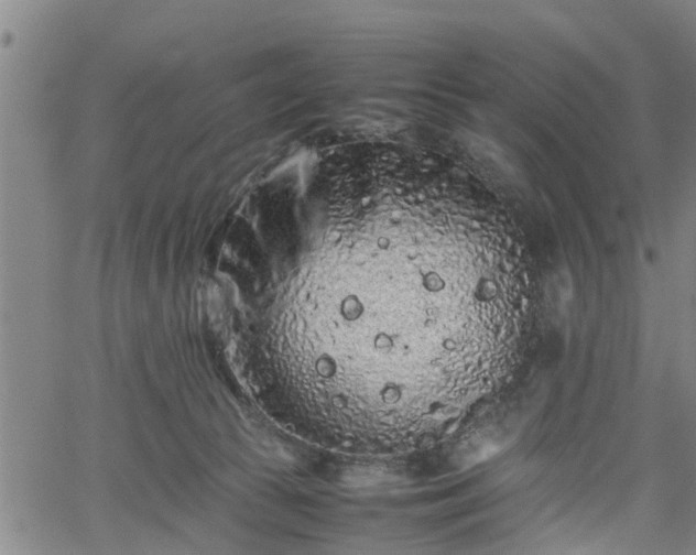 X0000062170177200512161300