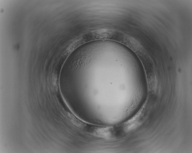 X0000062170178200512161300